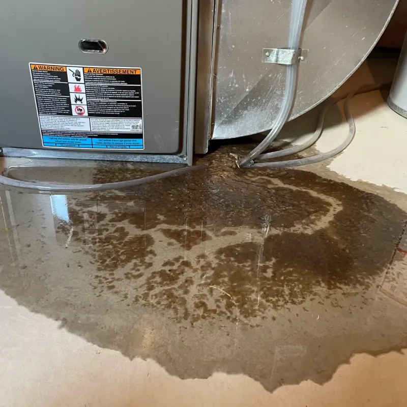 Appliance Leak Cleanup in Fremont, NC